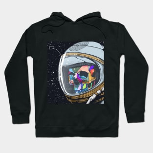 Ursa Minor Hoodie